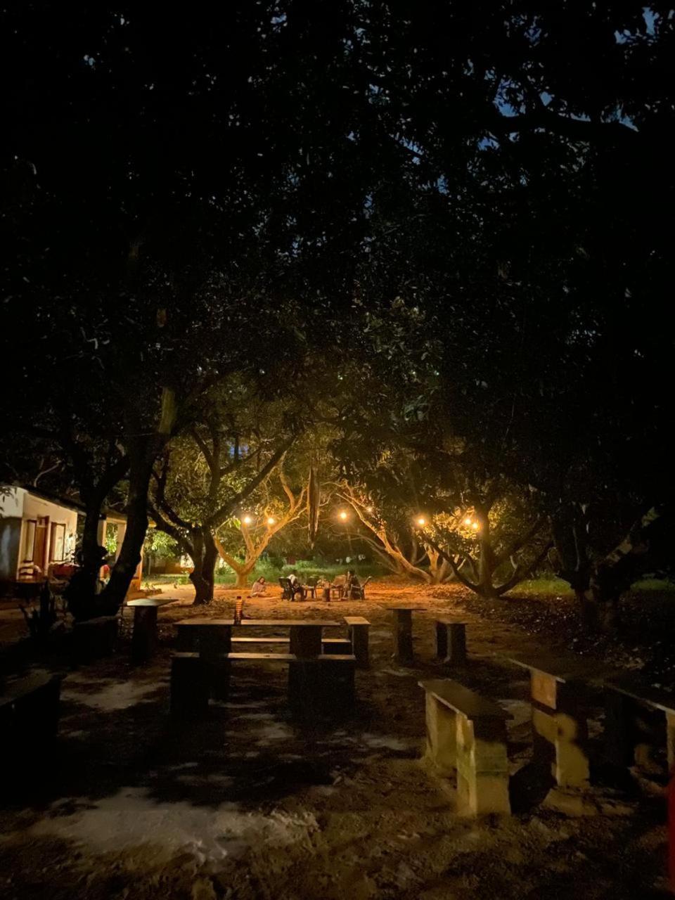 Art Forest Pondicherry Exterior photo