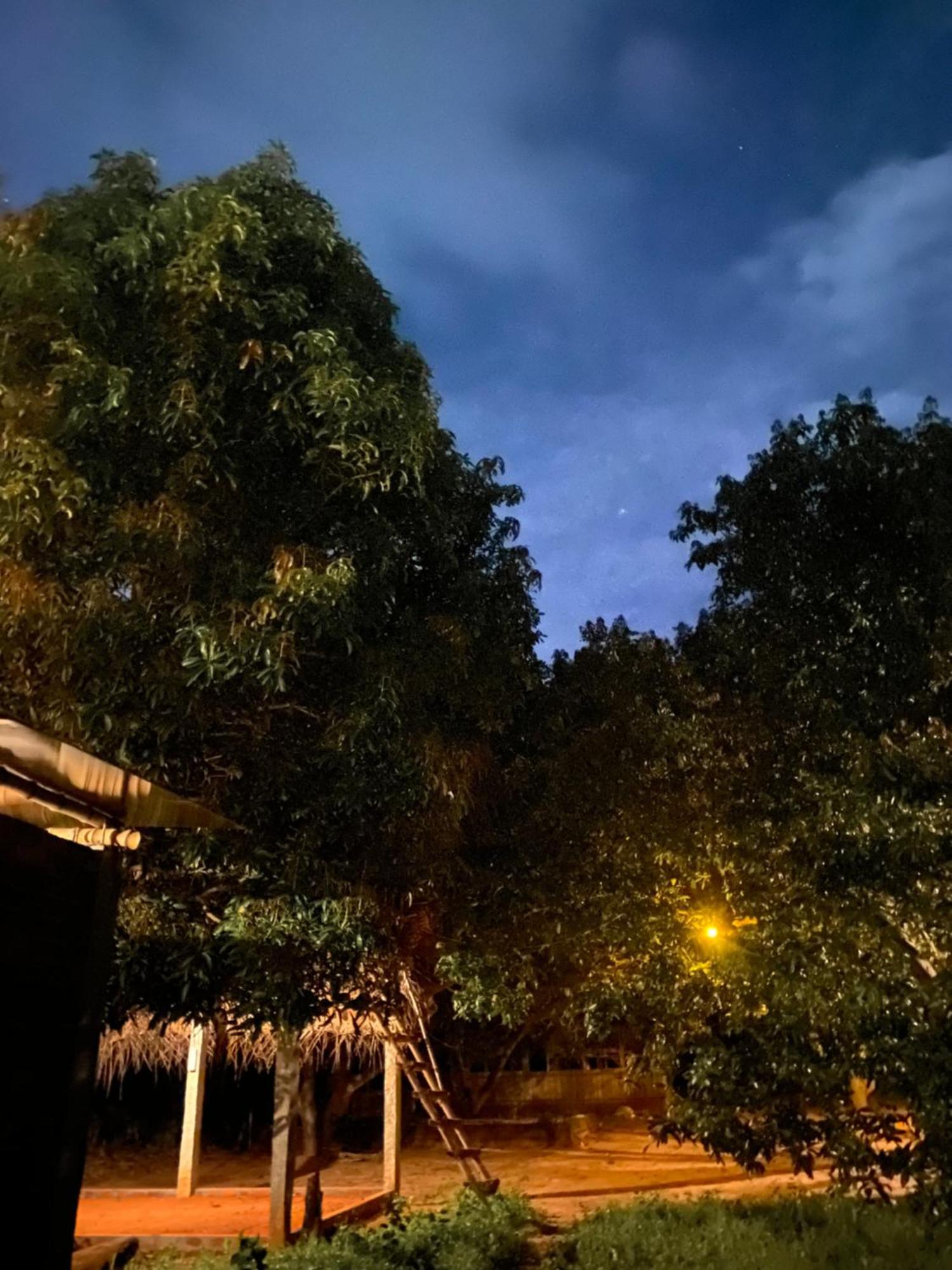 Art Forest Pondicherry Exterior photo